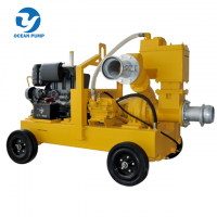 Hot Sale Sludge Dewatering Pump